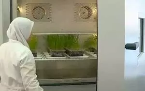 BINDER variable climate chambers in use in a research institute