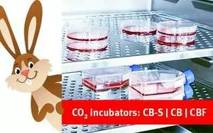 In a class of its own: BINDER CO2 incubators