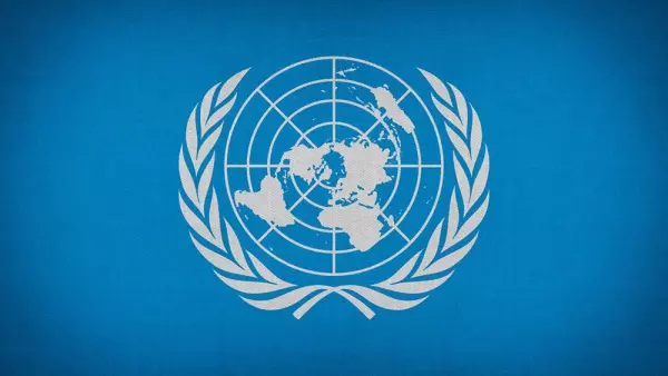 Virtuelle Workshops: How to Do Business with the UN