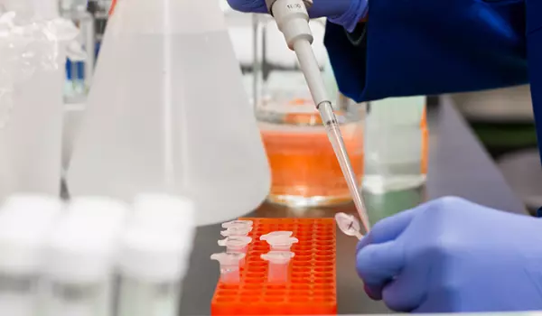 Insects as Food - Allergies When Eating? Analysis options at lifeprint GmbH - A Tentamus Company