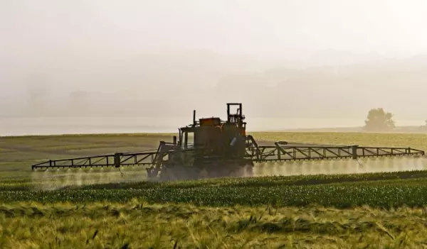 Fast and reliable detection of chlorpyrifos