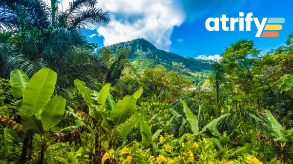 Neue Bäume für den aTREEfy Wald zum World Environment Day