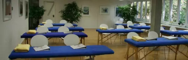 Training seminars &amp; training for therapists on the subject of the fascia system / scar therapy
