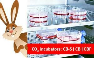 Eine Klasse für sich: BINDER-CO2-Inkubatoren