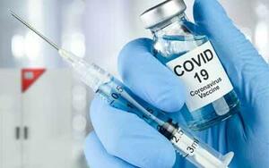 Pharmaceutical companies: stability tests in constant climate chambers