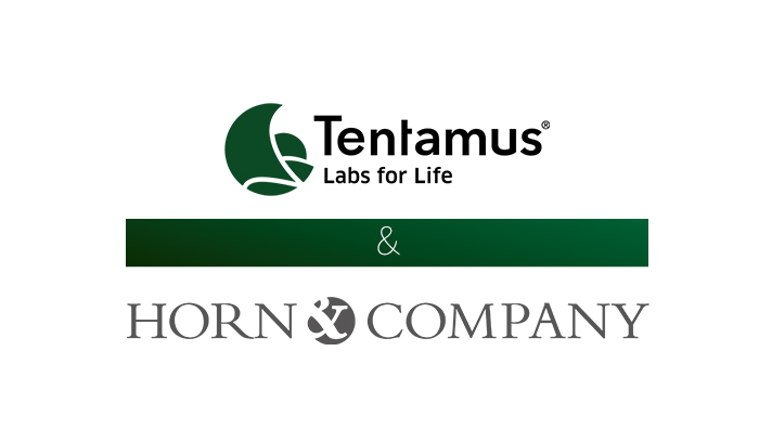 Tentamus Group and Horn &amp; Company enter into partnership