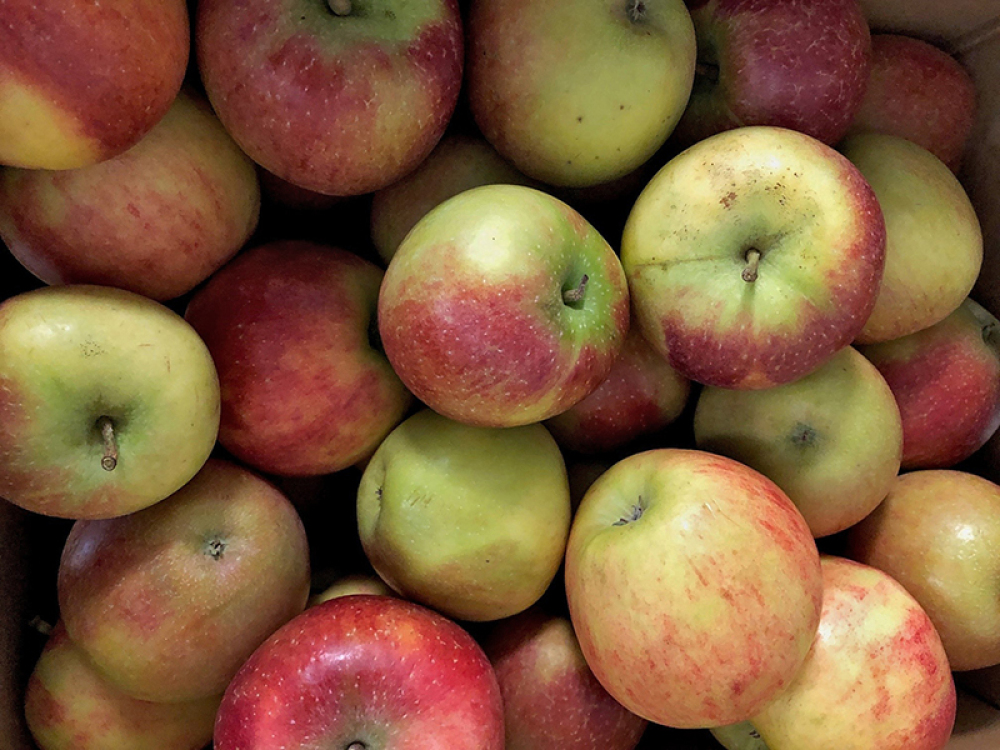 An Apple a day keeps the doctor away
