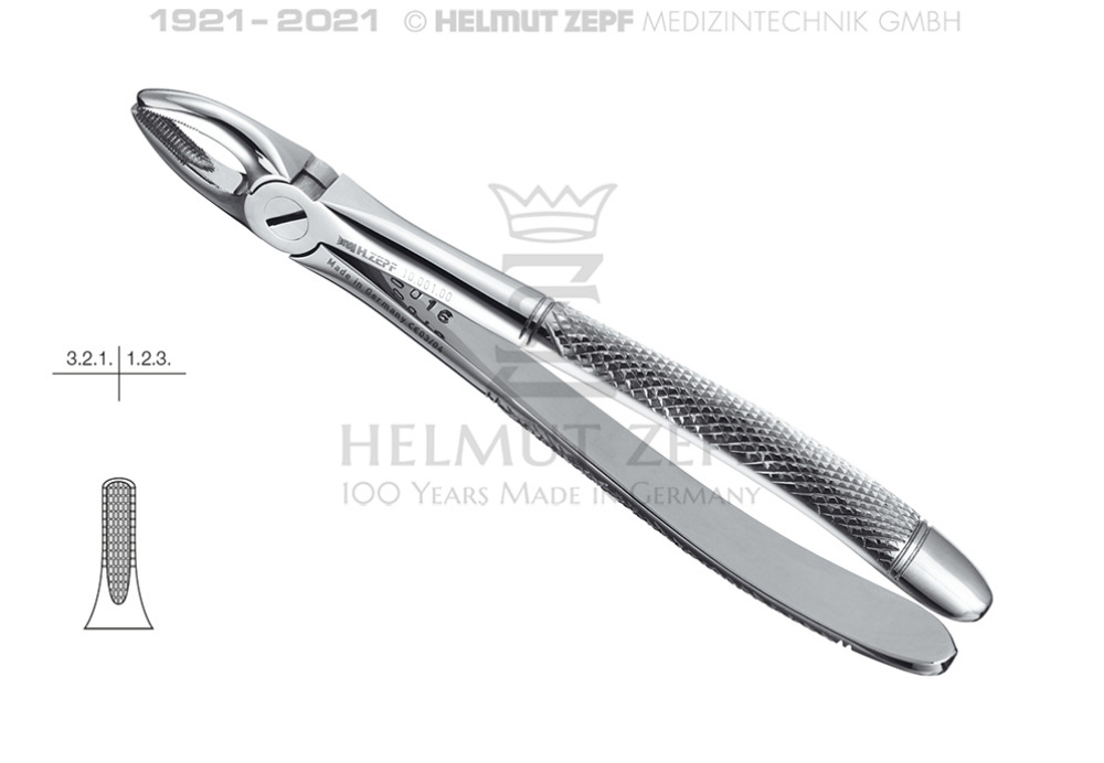 Extracting Forceps Standard - Dental Instruments for Extraction