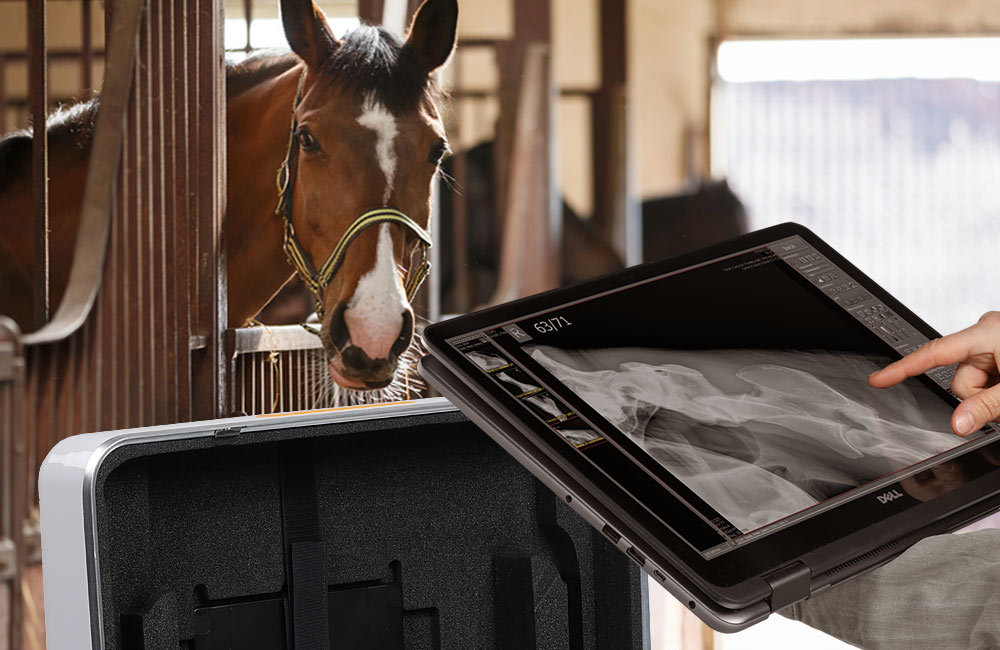 Lightweight X-ray suitcase for mobile use in stables & clinics
