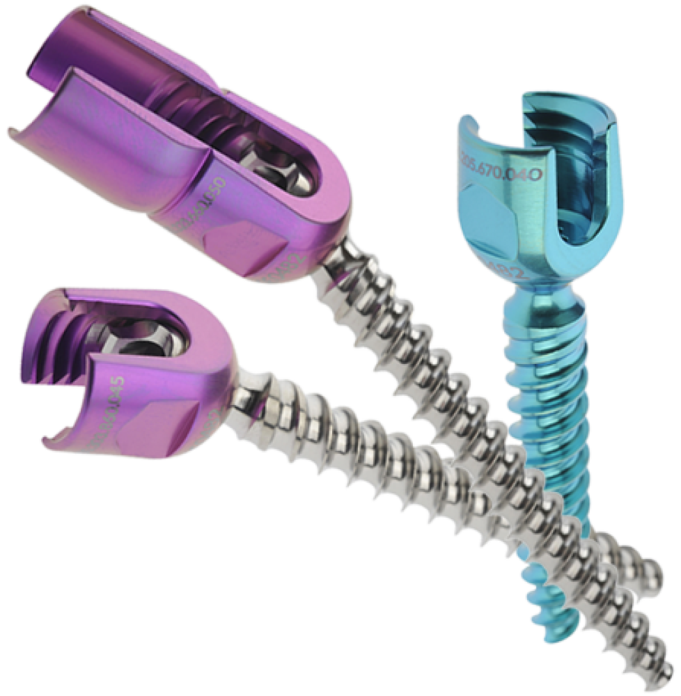 MAKAIRA® Internes Spinal Fixation System