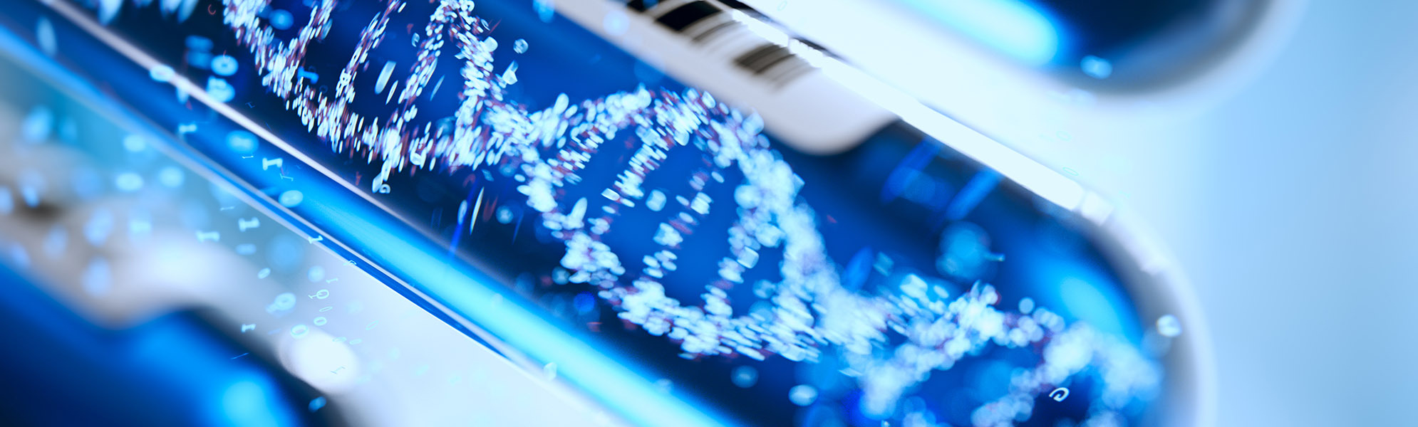Human Genetics (SUBJECT AREA)